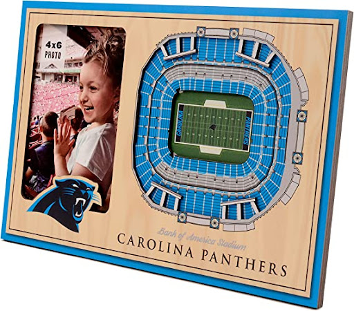 Panthers-3D-StadiumViews-Picture-Frame-Team-Colors